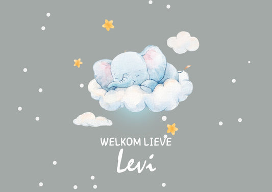 Wenskaart Groene Baby Box