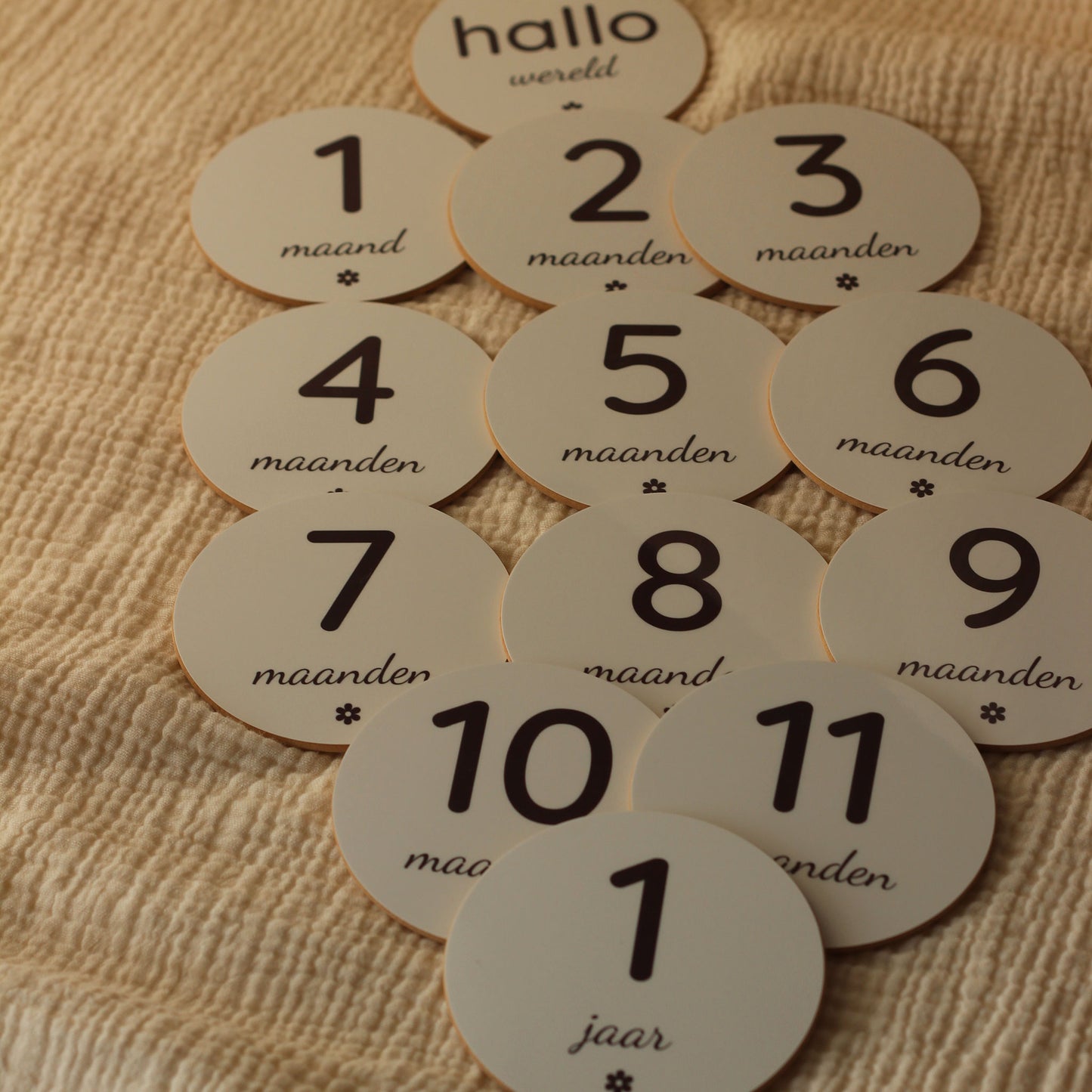 Overzicht van ronde baby mijlpaalschijfjes met teksten voor maanden 1 tot en met 12 en een schijf met “hallo wereld”.