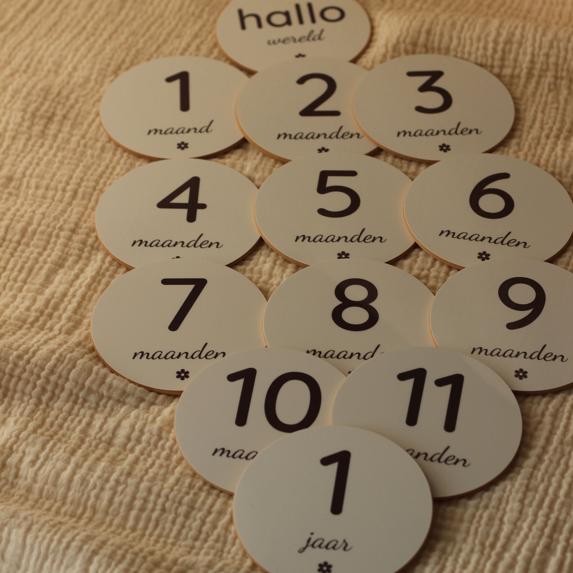 Overzicht van ronde baby mijlpaalschijfjes met teksten voor maanden 1 tot en met 12 en een schijf met “hallo wereld”.