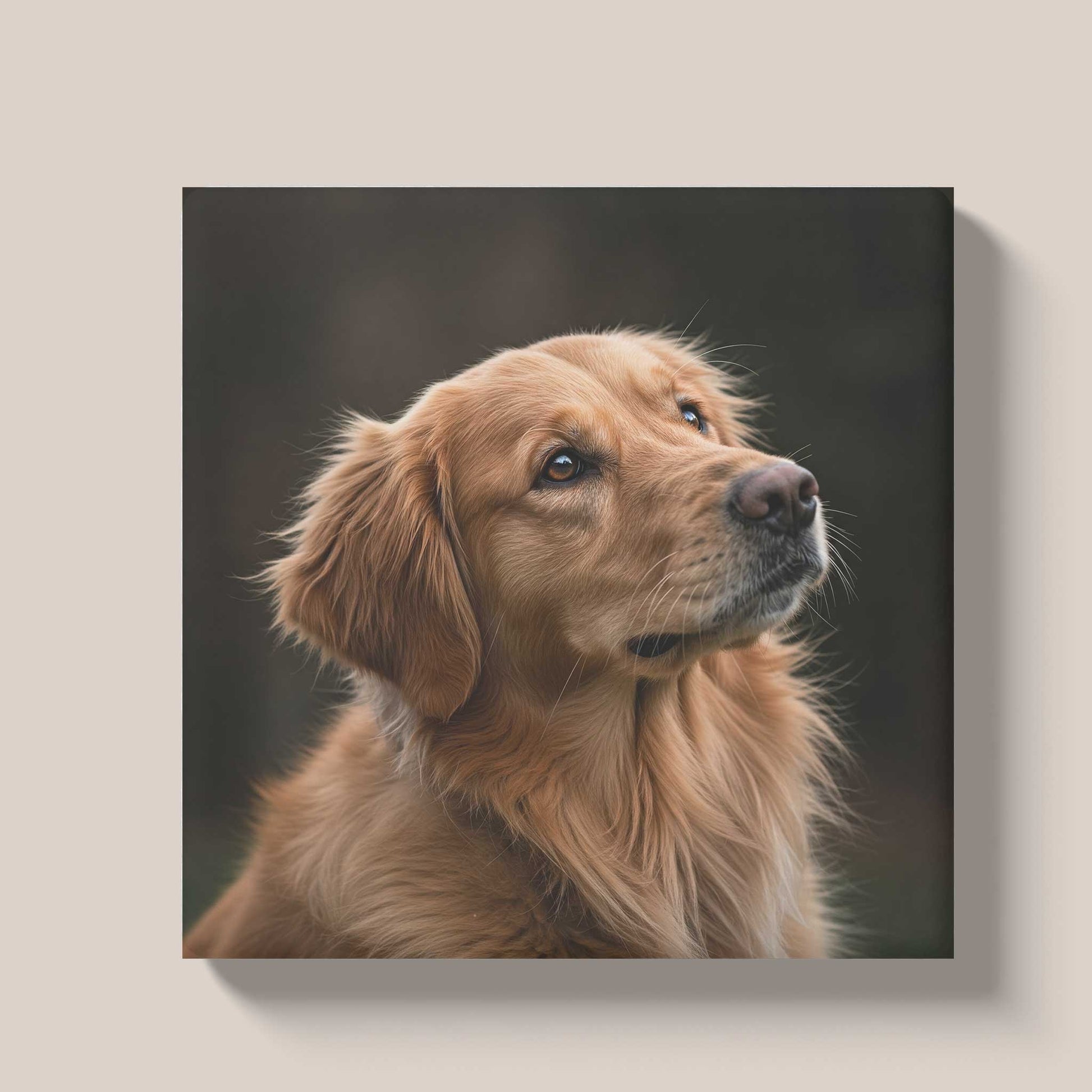 Keramisch tegeltje van 15x15 cm bedrukt met een foto van een golden retriever als voorbeeld van een huisdierfoto op tegeltje